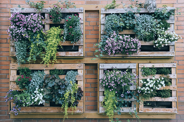 Planting crates mounted on garden wall