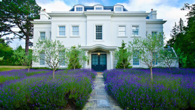 Large regency style house with lavender in front garden