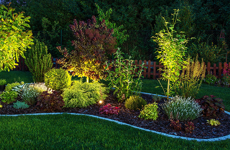 LED lighting in garden shrubbery at night