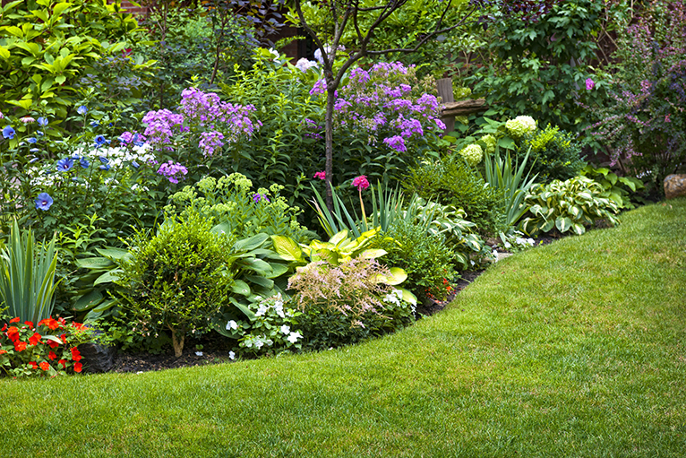 Landscaped garden with blooming flowerbed