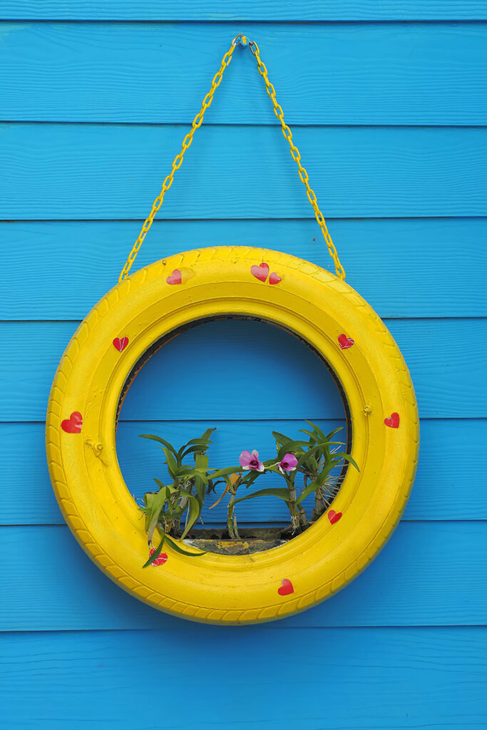 Upcycle: Old tyre upcycled into plant holder