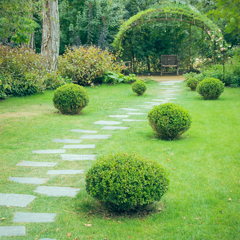 Garden path leading to bench