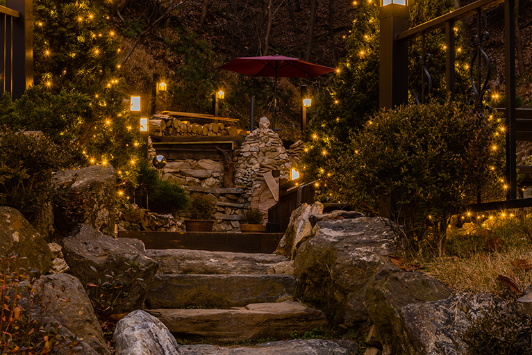 Lights in garden plants