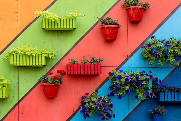 Multicoloured garden wall with colourful plastic plant pots