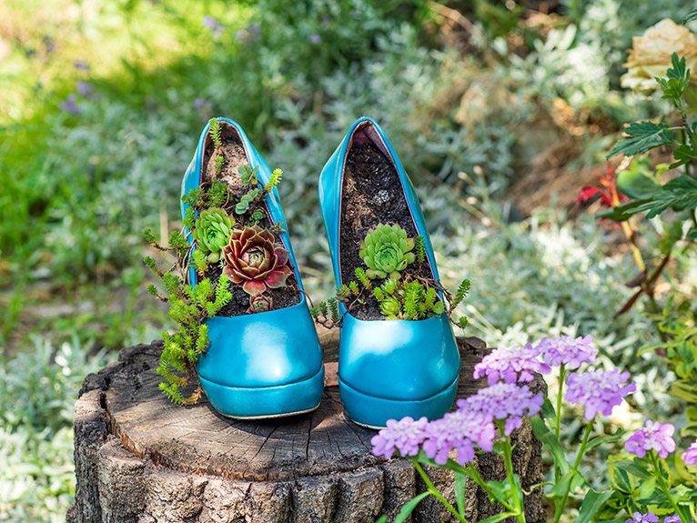 Old high heel shoes upcycled into planters