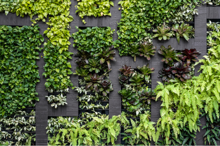 Wood panels weaved into living wall