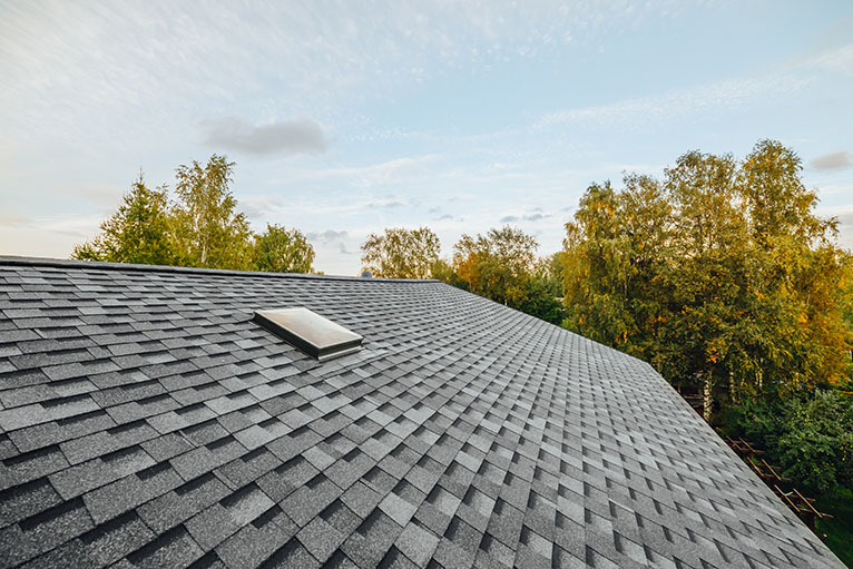 roof covered with shingles flat polymeric roof-tiles
