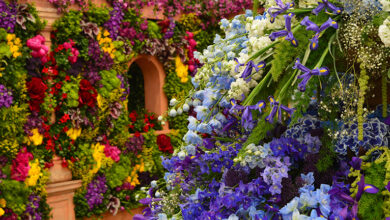 Beautiful multicoloured flower display inspired by Chelsea Flower Show.