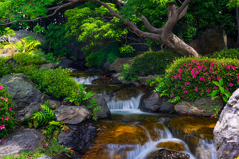 Peaceful image of garden with lush greenery and a gentle waterfall running through the middle. 