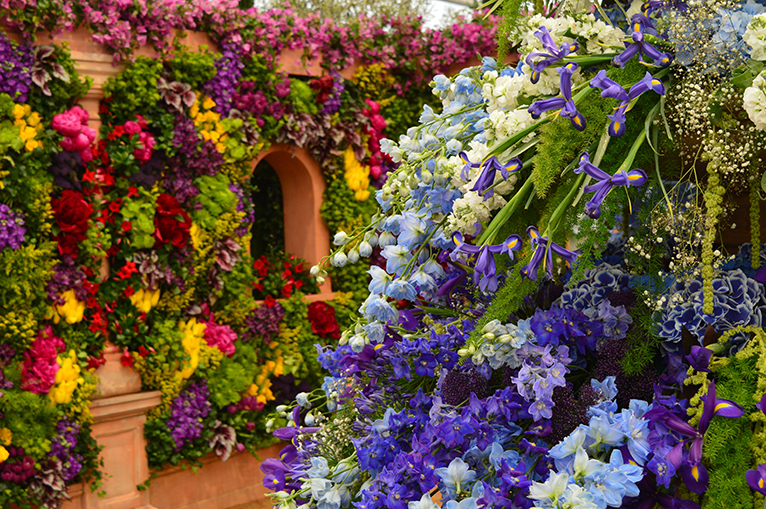 Beautiful display of multicoloured flowers from The Chelsea Flower Show. 