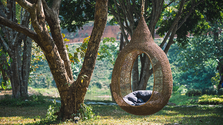 Thatched, wooden egg chair, hanging from a tree sat within a sunlit forest.
