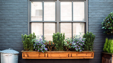 Window of house with potted plants sat underneath in wooden shelf.