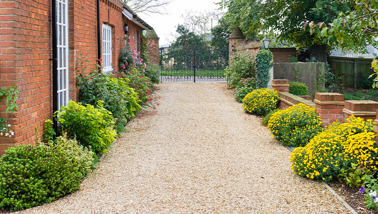 Picture of a front garden with a driveway and plants