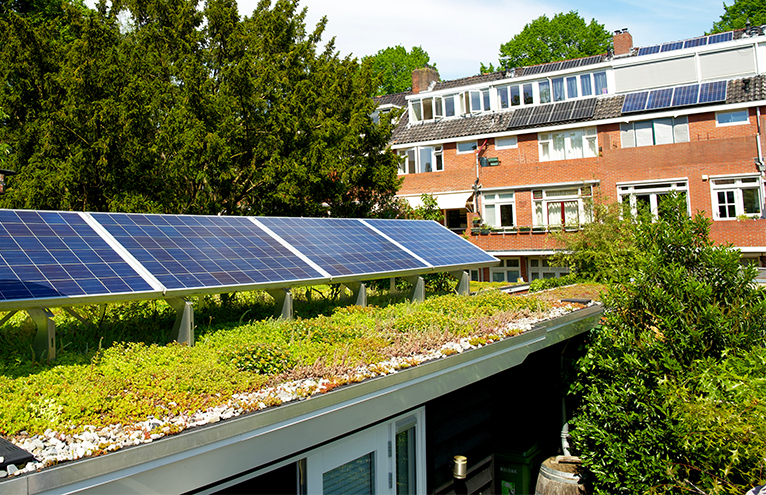 Green roof with solar panels