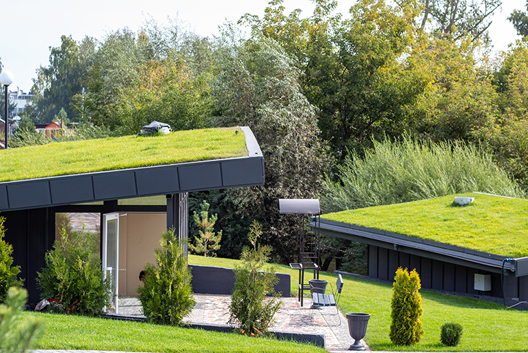 Modern design single storey houses with sloping grassy roofs
