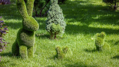 Bunny shaped hedge sculpture