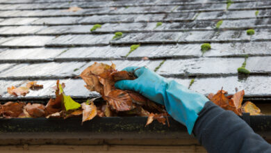 Hand in a rubber glove removing leaves from a gutter