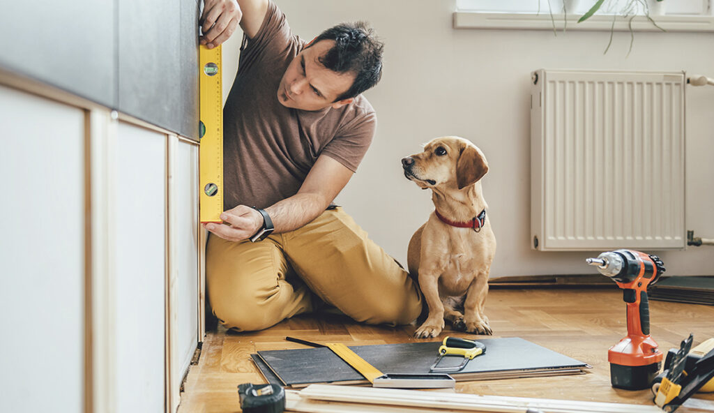Man surrounded with tools using spirit level on a stud wall while his dog is watching