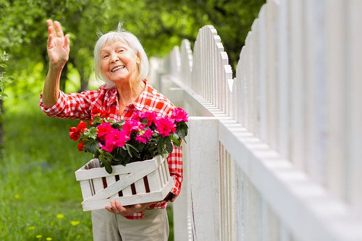 An elderly woman waving to her neighbour, holding some pink flowers and standing by a white fence.