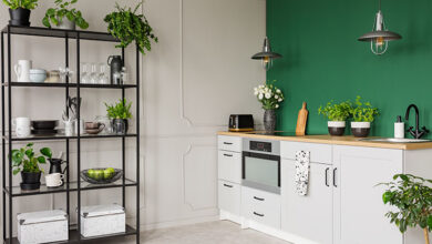 Picture of a green and nature themed kitchen