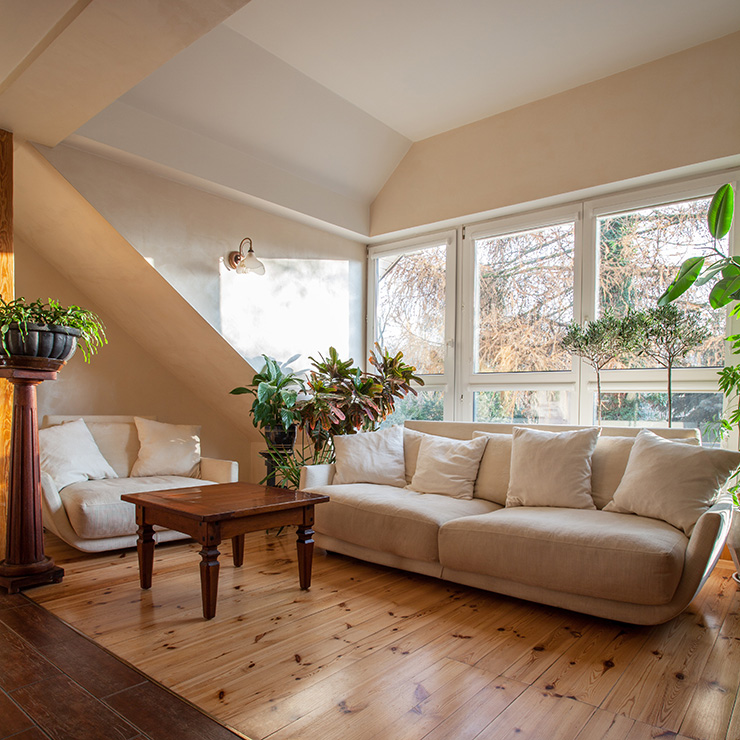 Picture of a hip-to-gable loft conversion being used as a living room with sofas and plants