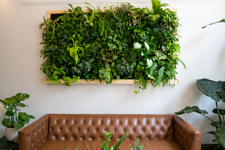 Picture of a sofa will a living wall panel installed above it