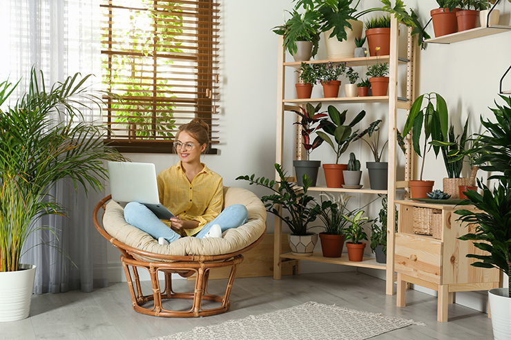 Picture of a woman sitting in a chair surrounded by plants