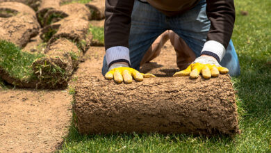Picture of a gardener laying turf
