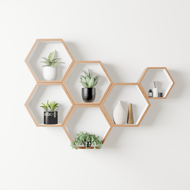 Picture of interior design feature plants on geonetric shelf