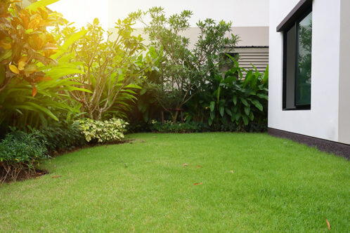 Picture of a tidy lawn and home