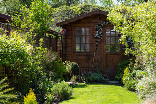 Picture of a garden shed surrounded by plants 