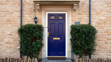 Picture of a front door with shrubs on each side