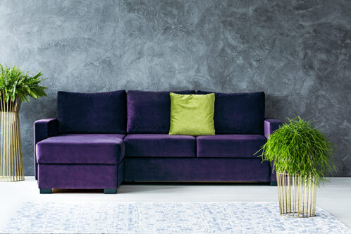 Picture of a living room with a purple sofa and green pillow and plants