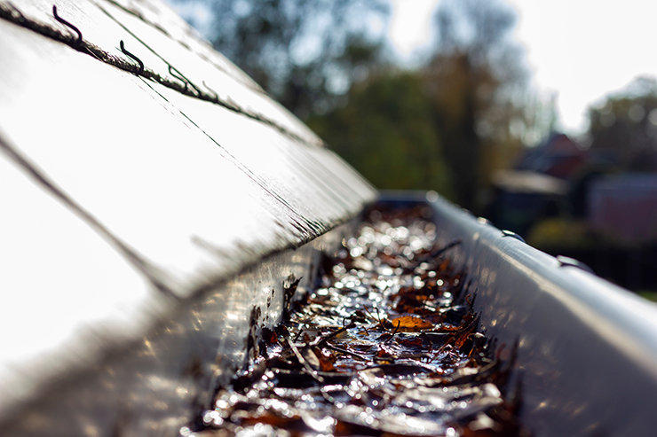 Picture of a gutter with leaves in it 