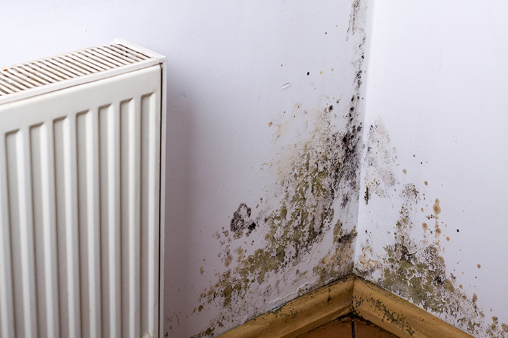 Picture of mould growing in the corner of a room next to a radiator 