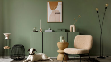 Picture of a living room with green walls, wall art, a dog on a carpet and a white chair