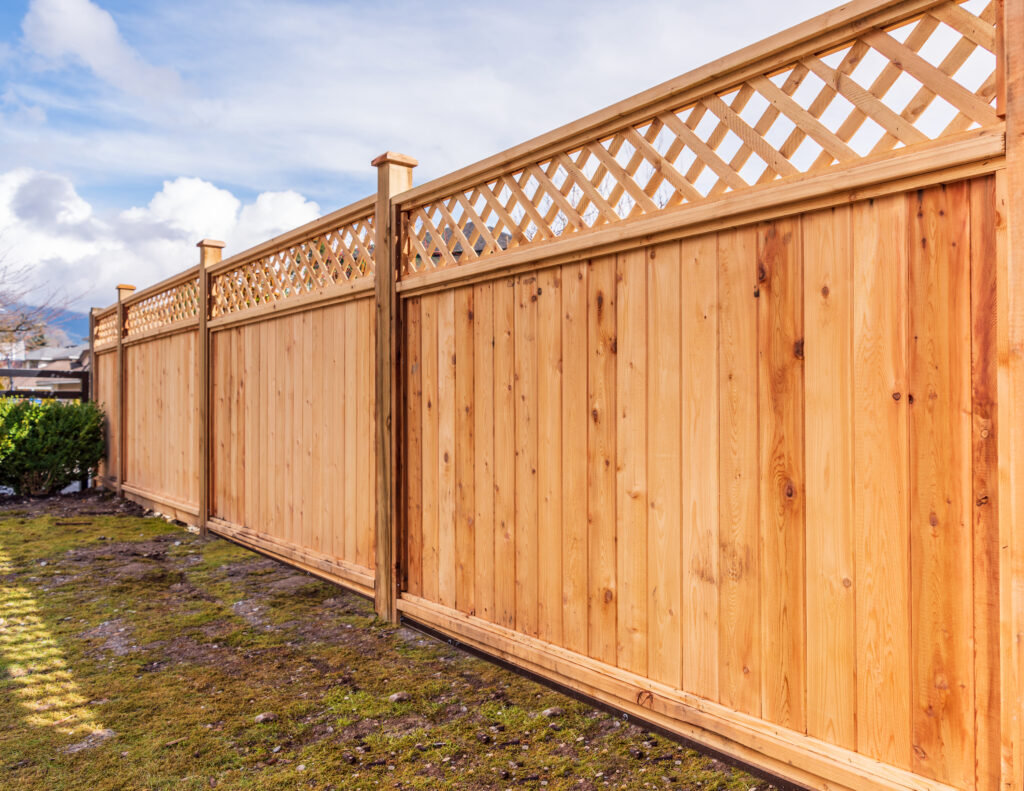 Picture of a garden fence dividing a property