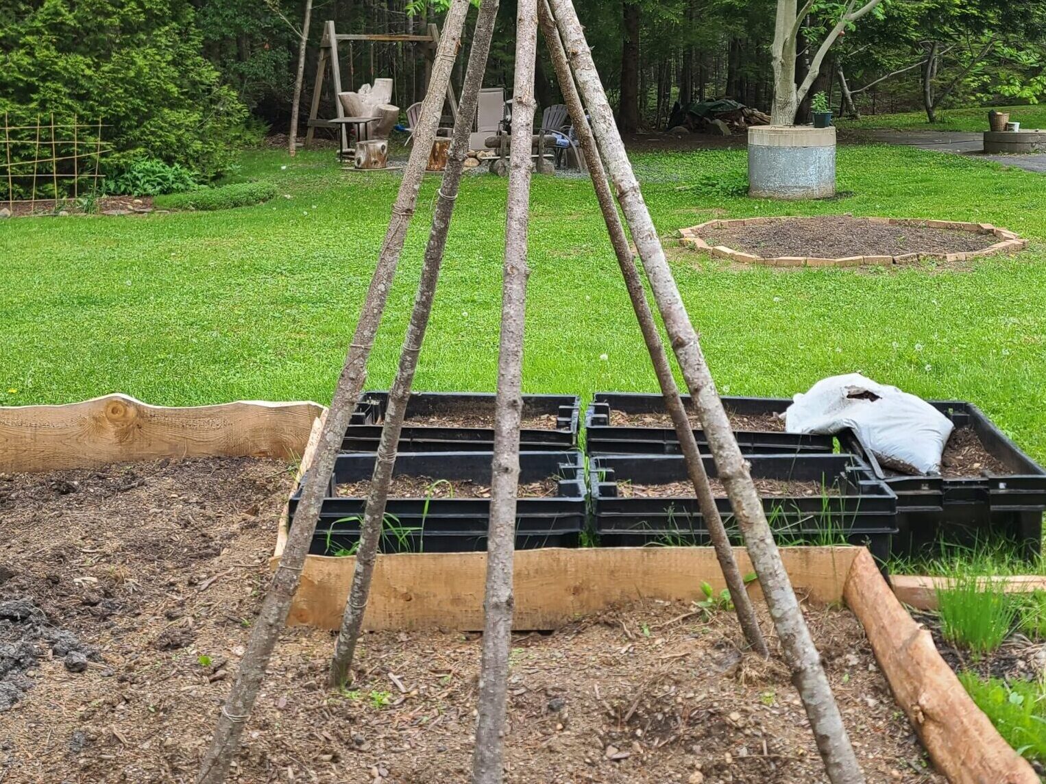 Picture of a teepee trellis in a vegetable garden patch