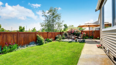 Picture of a garden with lawn and patio