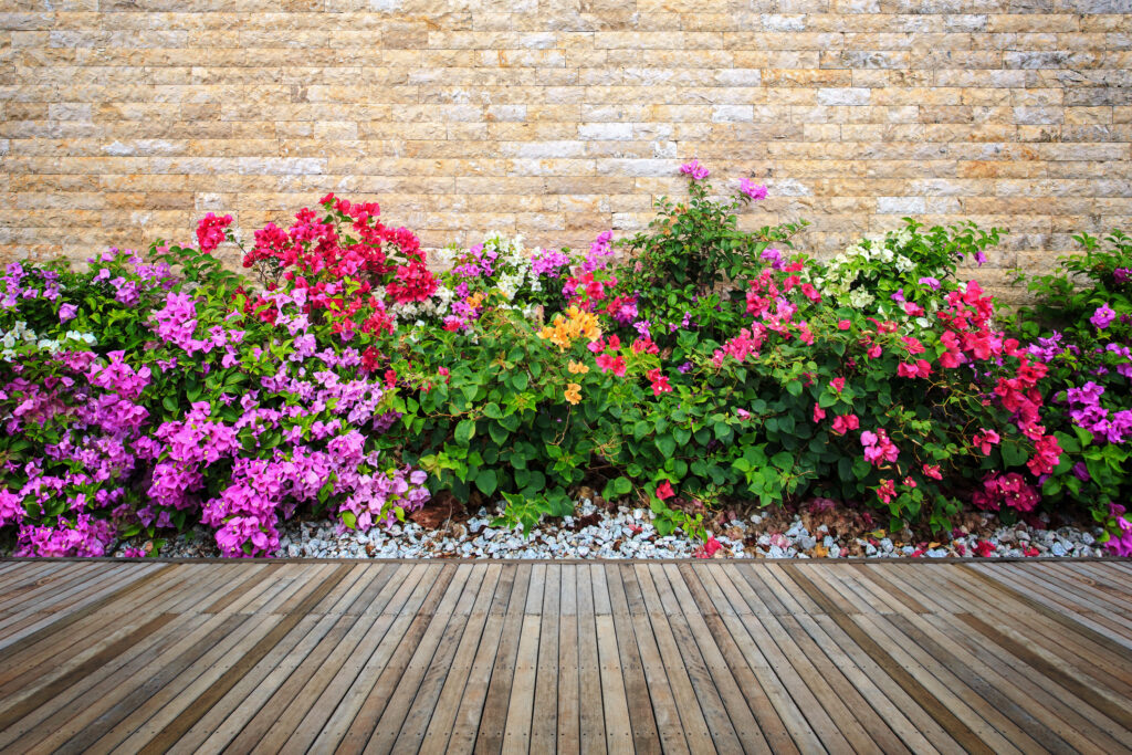 Picture of flowers in a flower bed near wooden decking