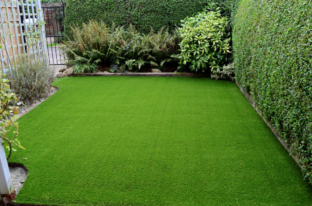 Picture of a garden lawn