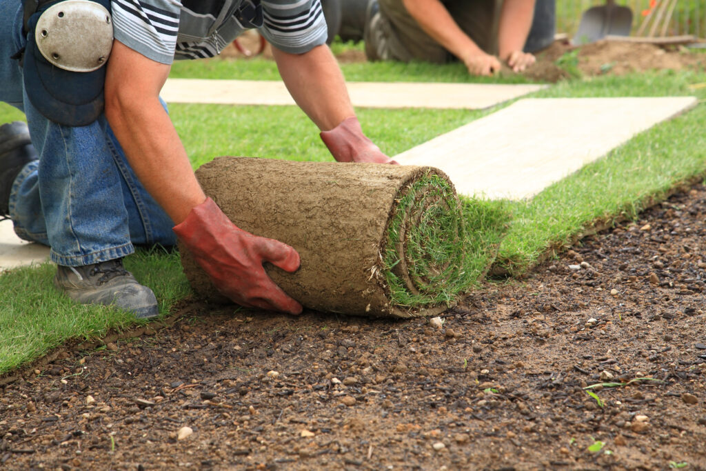 Picture of a garden landscaper installing a roll of grass onto lawn