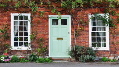 Picture of a front door painting in mint green with greenery on walls
